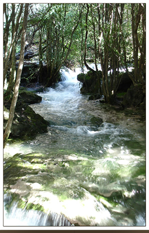 la Réserve naturelle régionale de Saint Maurin